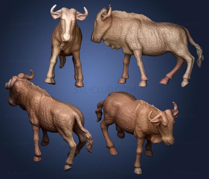 Gnu